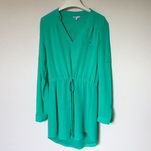Naked Zebra Shirt Dress, Shamrock Green
